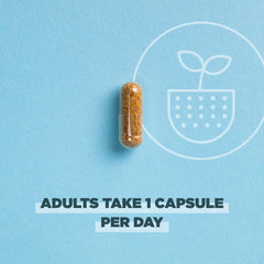 Ancient Nutrition probiotic strains close-up shows 30 gut-friendly bacteria.