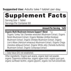 Ancient Nutrition Bacillus coagulans capsule supports digestive health