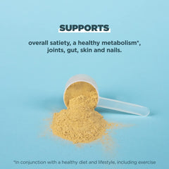 Ancient Nutrition bone broth protein packaging emphasizing premium ingredients