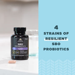 Daily-use probiotic bottle from Ancient Nutrition ready for your routine.
