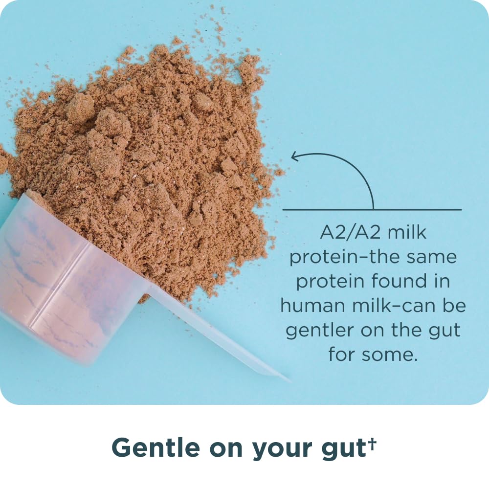Ancient Nutrition easy-to-digest whey ideal for sensitive stomachs.