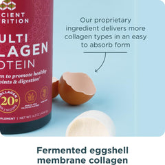 Ancient Nutrition fermented eggshell membrane highlight for nutrient bioavailability