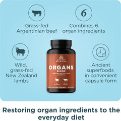 Ancient Nutrition Organ Supplements capsules close-up highlighting easy-to-absorb nutrients from grass-fed and wild sources