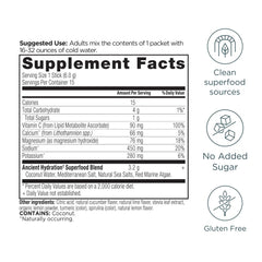 Ancient Nutrition Rapid Hydration Stick Packs ready-to-mix for on-the-go hydration.