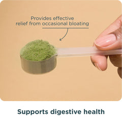 Ancient Nutrition SuperGreens daily-use setup suggests versatile on-the-go wellness.