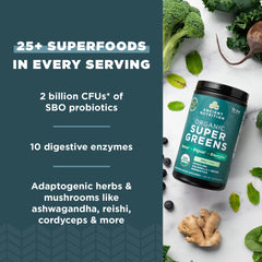 Ancient Nutrition SuperGreens probiotic Bacillus coagulans supports gut microflora.