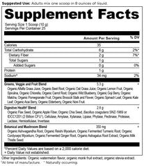Ancient Nutrition SuperGreens probiotic bottle on a kitchen counter.