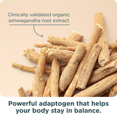 Ancient Nutrition packaging focuses on 30 servings per bottle for convenience.