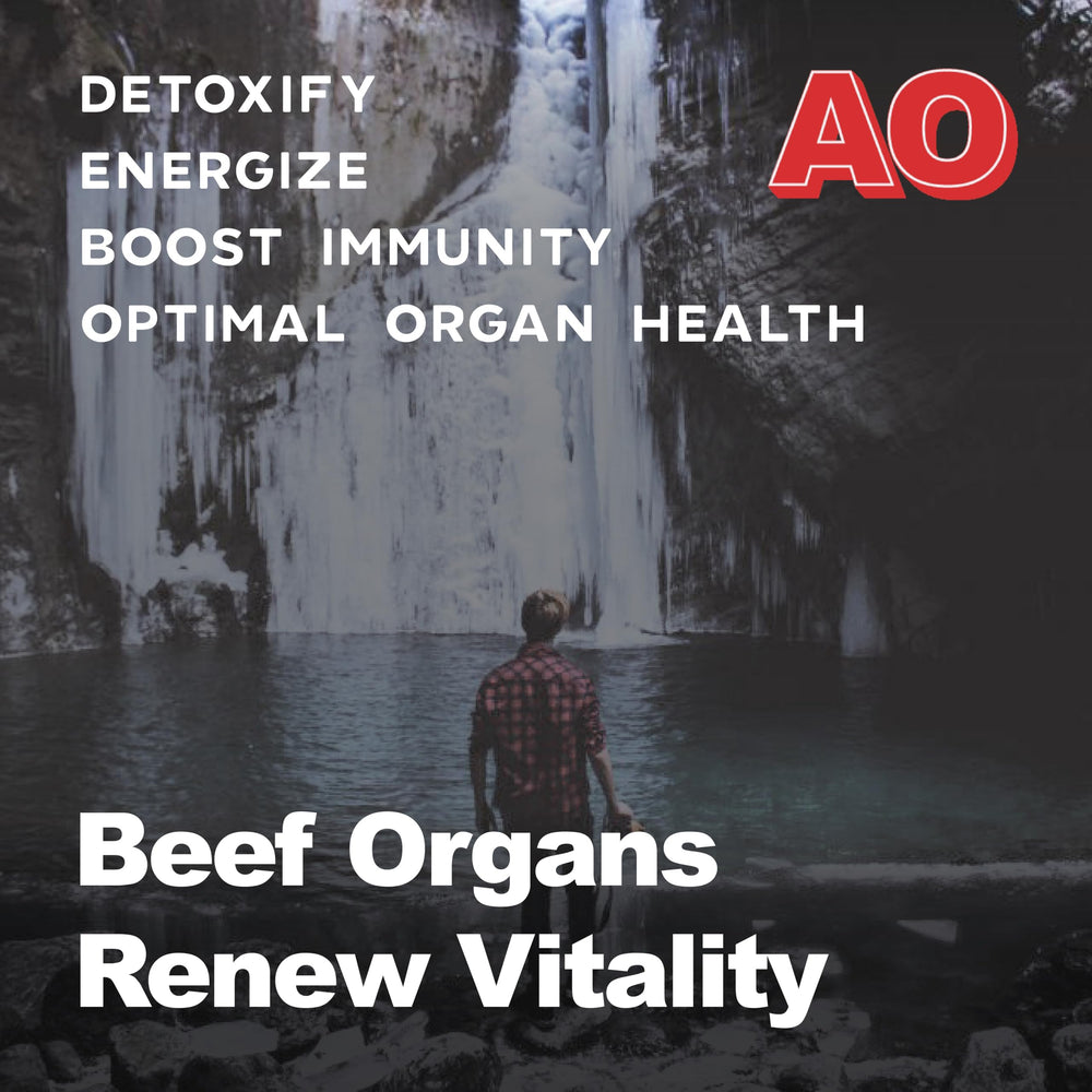 Ancient Origins bone marrow and pancreas capsules emphasize simple ingredients