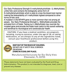 Vegetarian capsule icon with AND GIVE US TODAY OUR DAILY L-Methylfolate, suitable for vegetarians