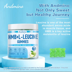 Andmino HMB Leucine Gummies packaging display highlighting quality and flavor.