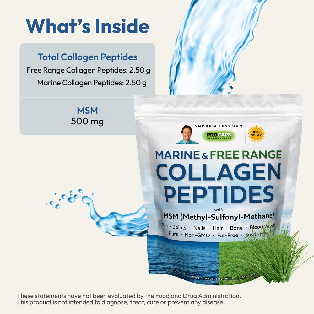 Andrew Lessman MSM powder bottle illustrating organic sulfur support for connective tissues
