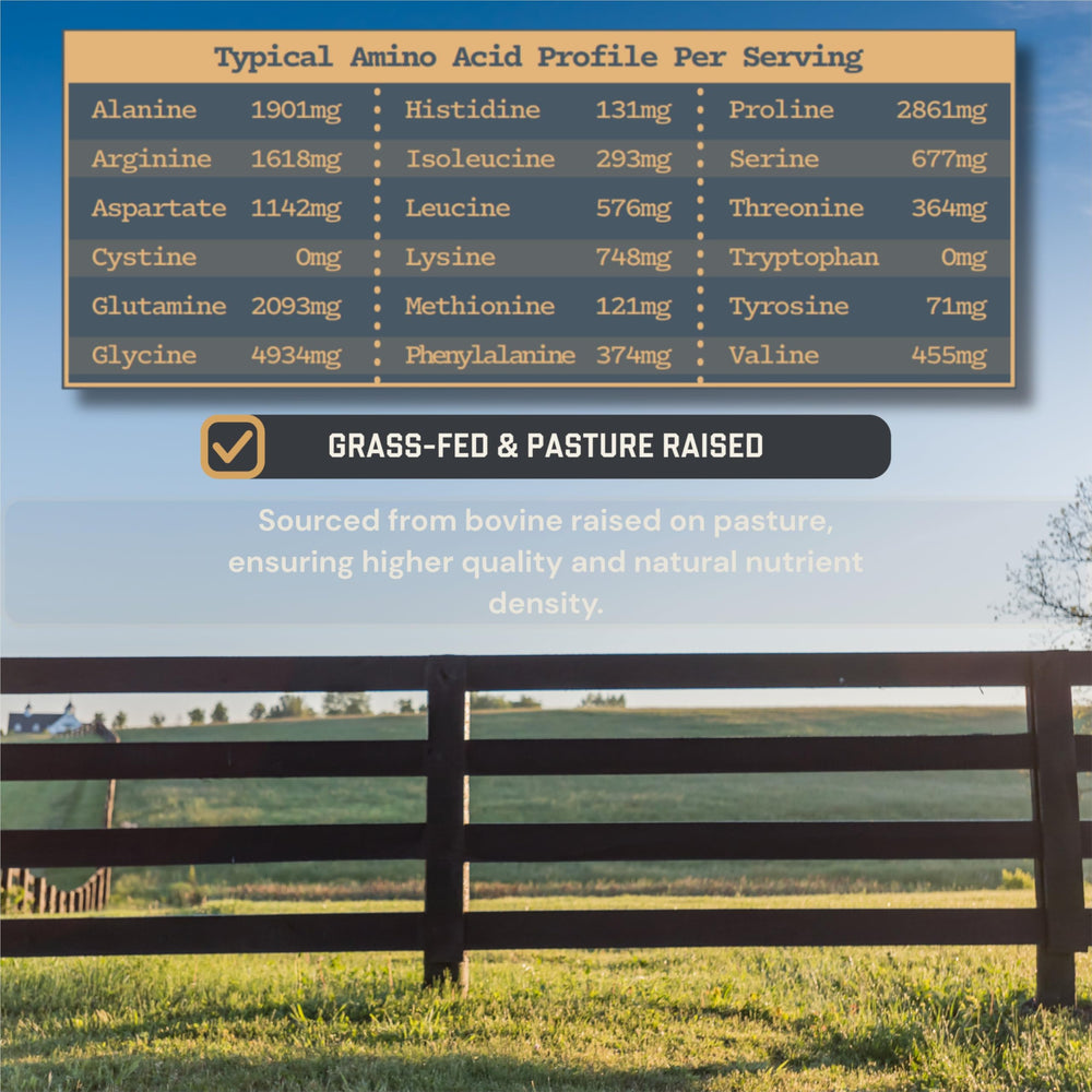 Anea Collagen Peptides grass-fed source highlights clean, single-ingredient formula