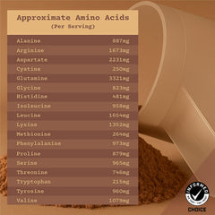 Anea Plant Protein Chocolate powder close-up in a glass.