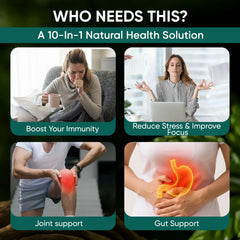 ANEFOSE Soursop Drops black-seed-oil helps immune resilience and smooth absorption.