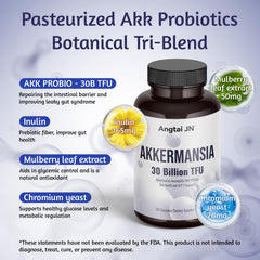 Angtai JN probiotic capsules ready to swallow for easy daily support