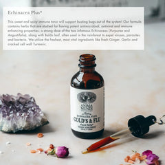 Echinacea purpurea and echinacea angustifolia roots in the blend for herbal depth.