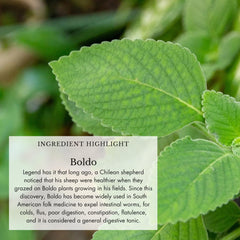 Bright turmeric root included in the immune support formula for color and flavor.
