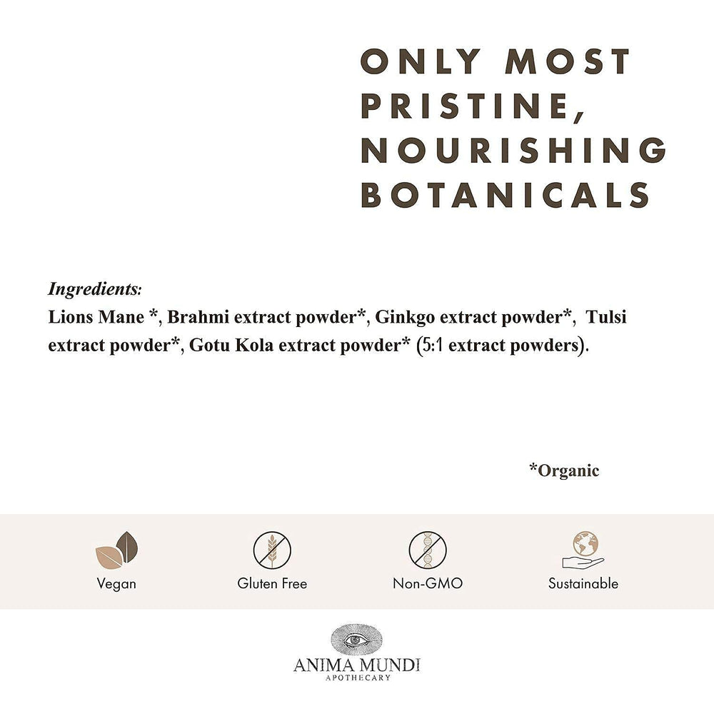 Anima Mundi Mind Energizing Brain Tonic gingko leaf closeup highlighting focus-support notes.