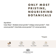 Anima Mundi Mind Energizing Brain Tonic gingko leaf closeup highlighting focus-support notes.