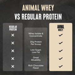 Animal 100% Whey tub near GMP-certified facility underscores quality and safety