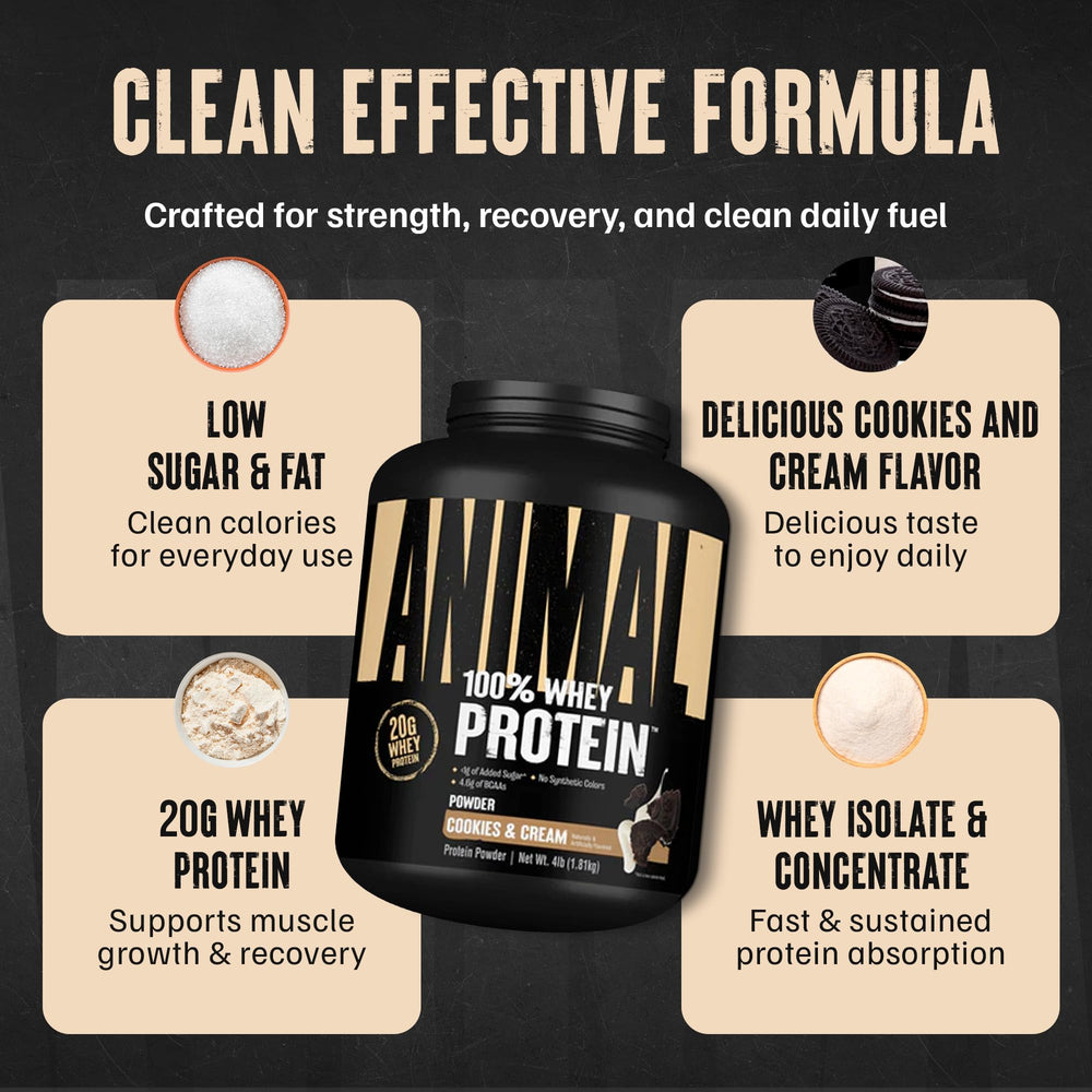 BCAAs-rich whey powder close-up for post-workout recovery.