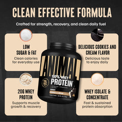 BCAAs-rich whey powder close-up for post-workout recovery.