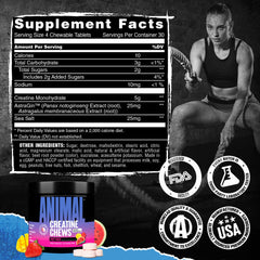 Travel-friendly tub of Animal Creatine Chews fitting in a gym bag.