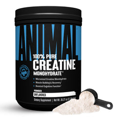 Animal Creatine Monohydrate Powder bottle ready for pre- or post-workout use