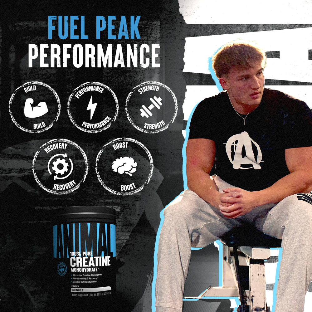 Animal Creatine Monohydrate powder mixing in a shaker