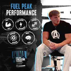 Animal Creatine Monohydrate powder mixing in a shaker
