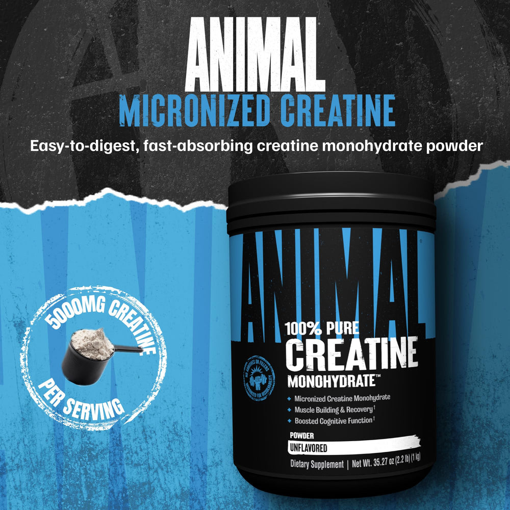 Animal Creatine Monohydrate powder scoop for precise 5 g servings