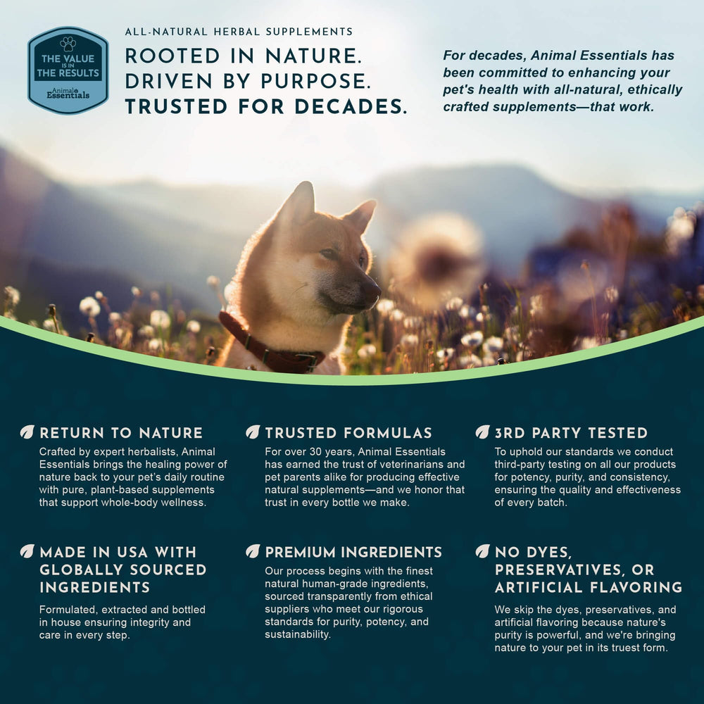 Animal Essentials Burdock licorice root blend offers natural allergy support for pets.