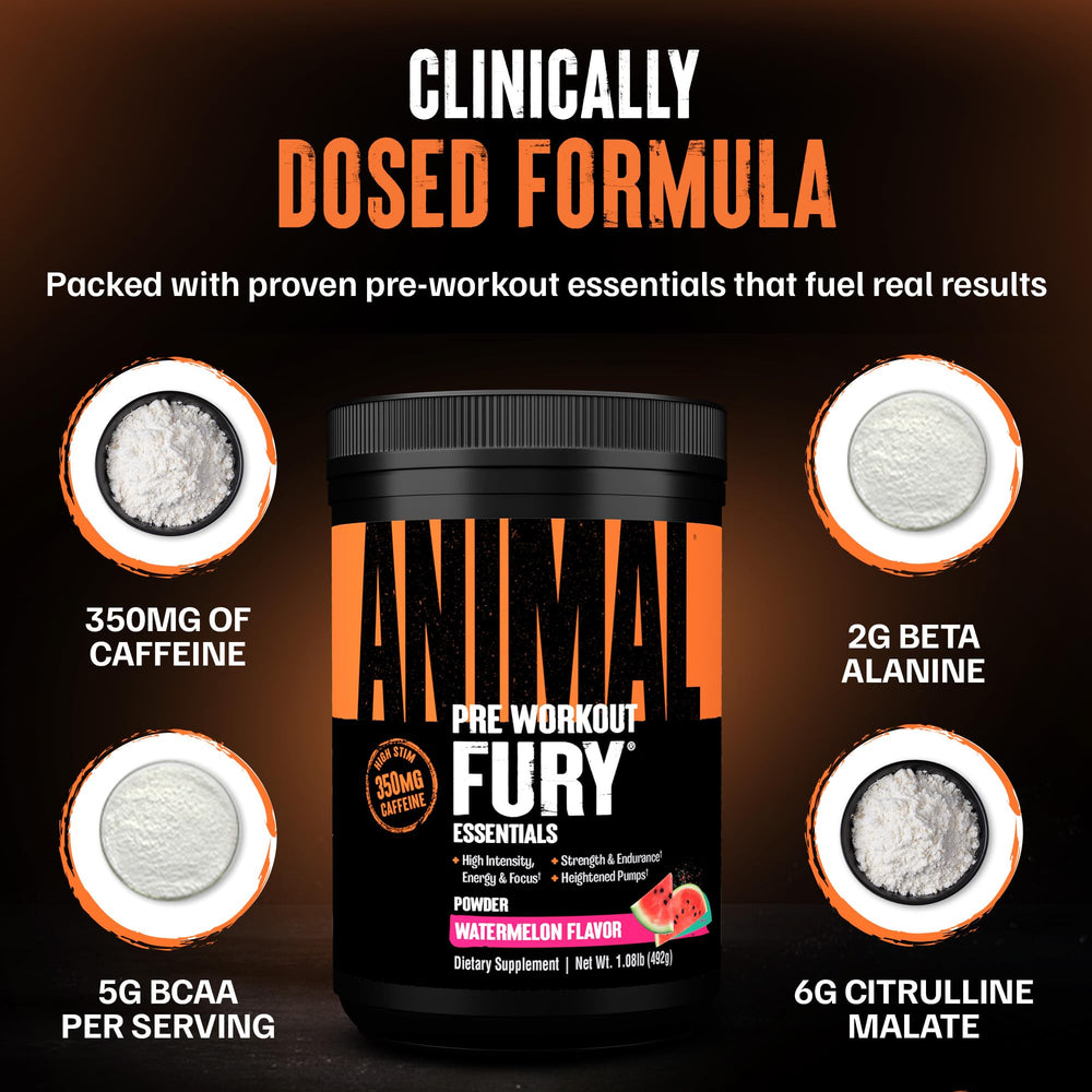 Animal Fury can features in gym setting indicating enhanced focus and energy