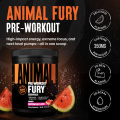Animal Fury scoop with measuring spoon shows precise dosing for consistent results.