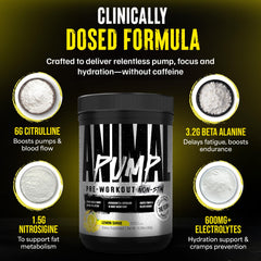 Animal Pump Non-Stim Lemon Surge flavor scoop ready for a session