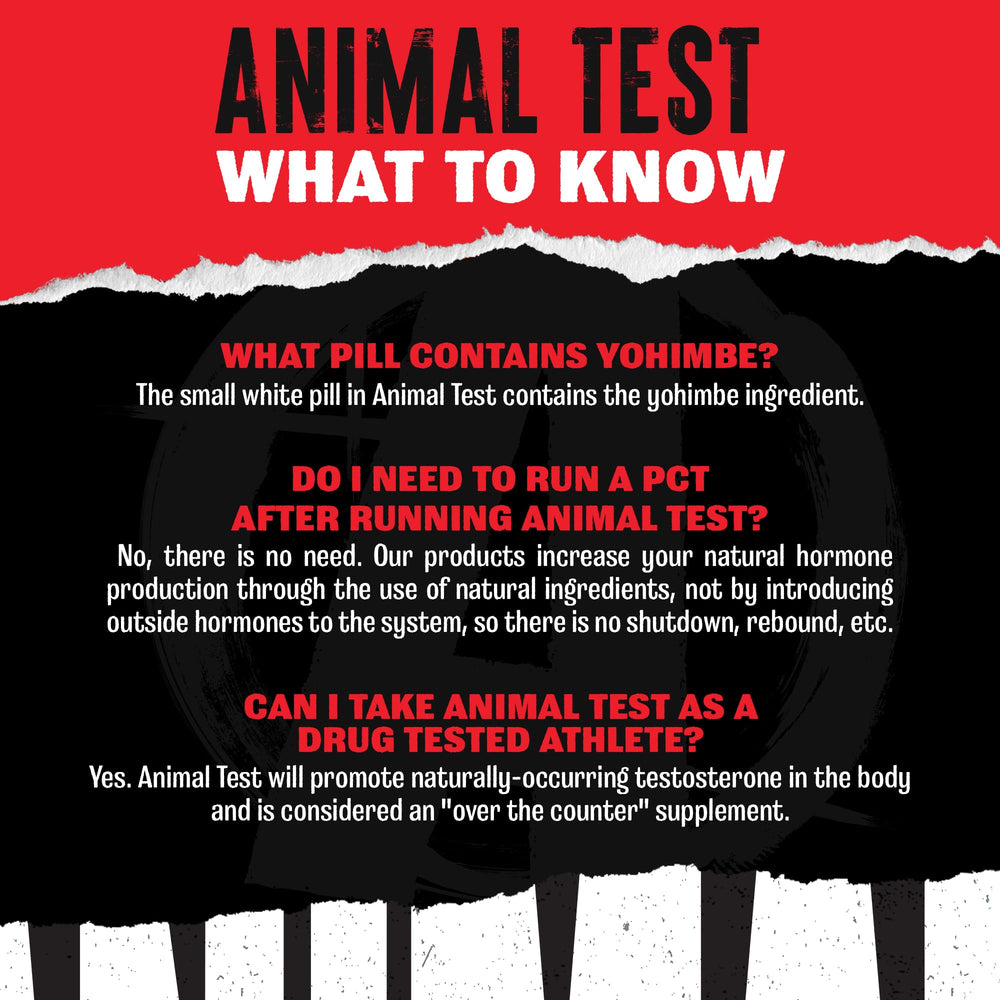 Animal Test packets close-up highlighting ready-to-take daily doses for endurance.