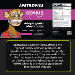 Apetropics Genius Chews berry-flavored gummies ready for on-the-go focus