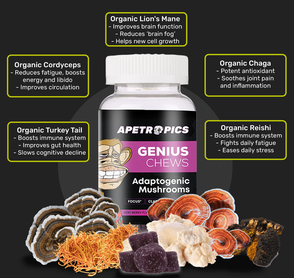 Apetropics Genius Chews close-up showing the mushroom blend in gummies