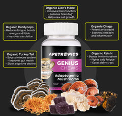 Apetropics Genius Chews close-up showing the mushroom blend in gummies