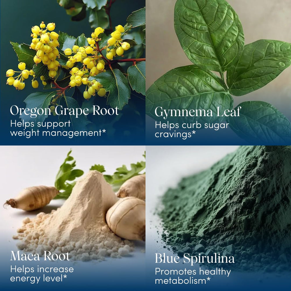 Apothékary Blue Burn Drops blue spirulina visual emphasizing antioxidant-rich formula.