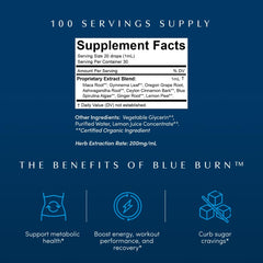 Apothékary Blue Burn Drops dropper ready for under-tongue use in daily routines.