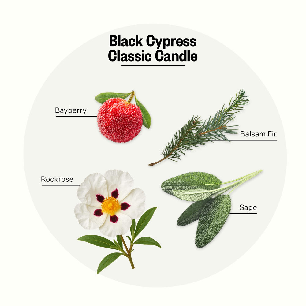 APOTHEKE Black Cypress candle wax detail highlighting long-lasting fragrance