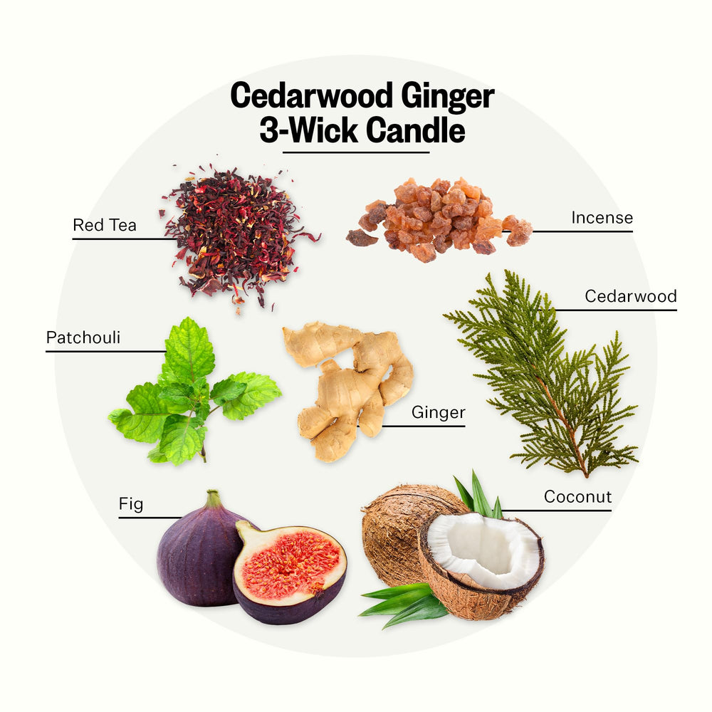 Wax pool in APOTHEKE Cedarwood Ginger candle invites cozy evenings.