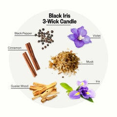 APOTHEKE close-up of fragrance notes: black pepper, cinnamon, iris