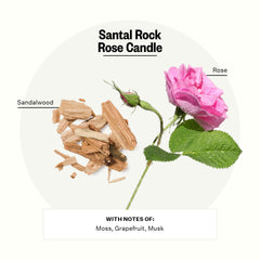 APOTHEKE Santal Rock Rose close-up of three wicks for a rich, layered scent.