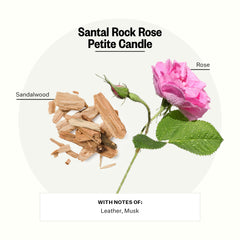 APOTHEKE Santal Rock Rose Petite Candle wax closeup showing the rich soy blend
