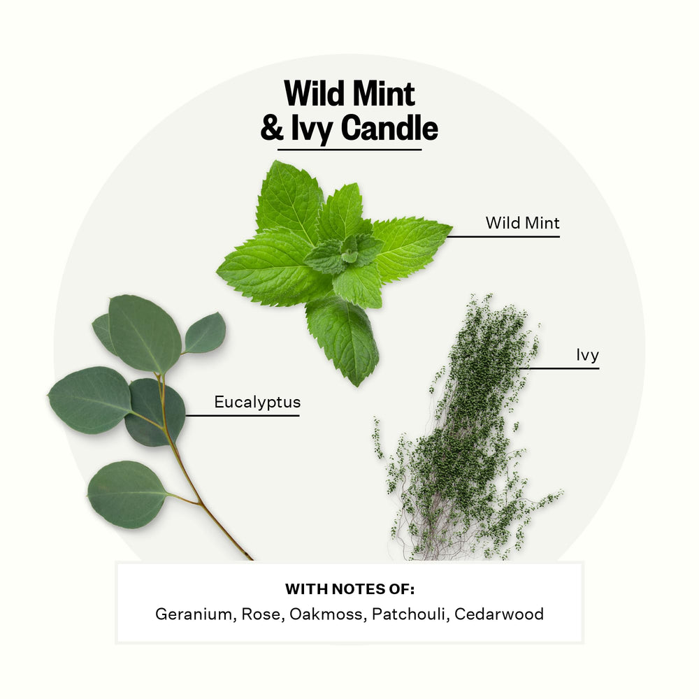APOTHEKE Signature Wild Mint Ivy candle 10.5 oz size delivering long-lasting fragrance.