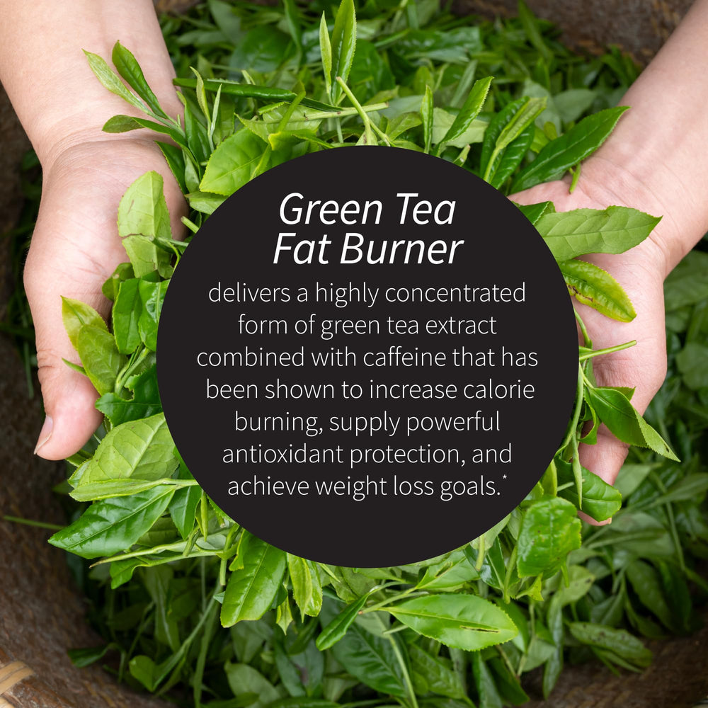 Applied Nutrition Green Tea Fat Burner packaging shows nutrient-dense antioxidants from berry blends