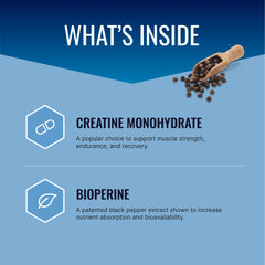 Approved Science Creatine Monohydrate powder scoop for precise 5g servings.
